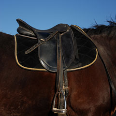 english saddle with saddle pad