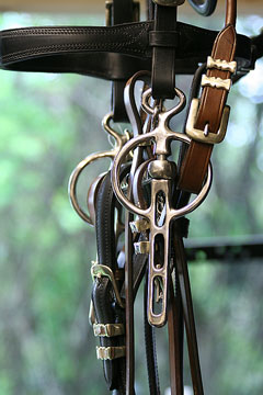horse driving bridle