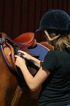 horse tack - dressage saddle and riding helmet